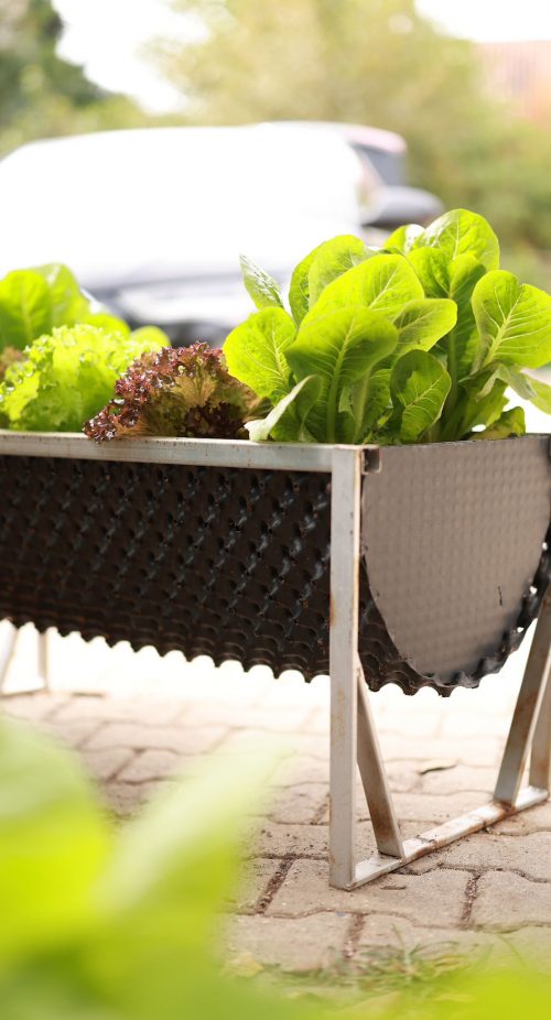 WhatsApp Görsel 2024-10-17 saat 14.33.28_c1a20427